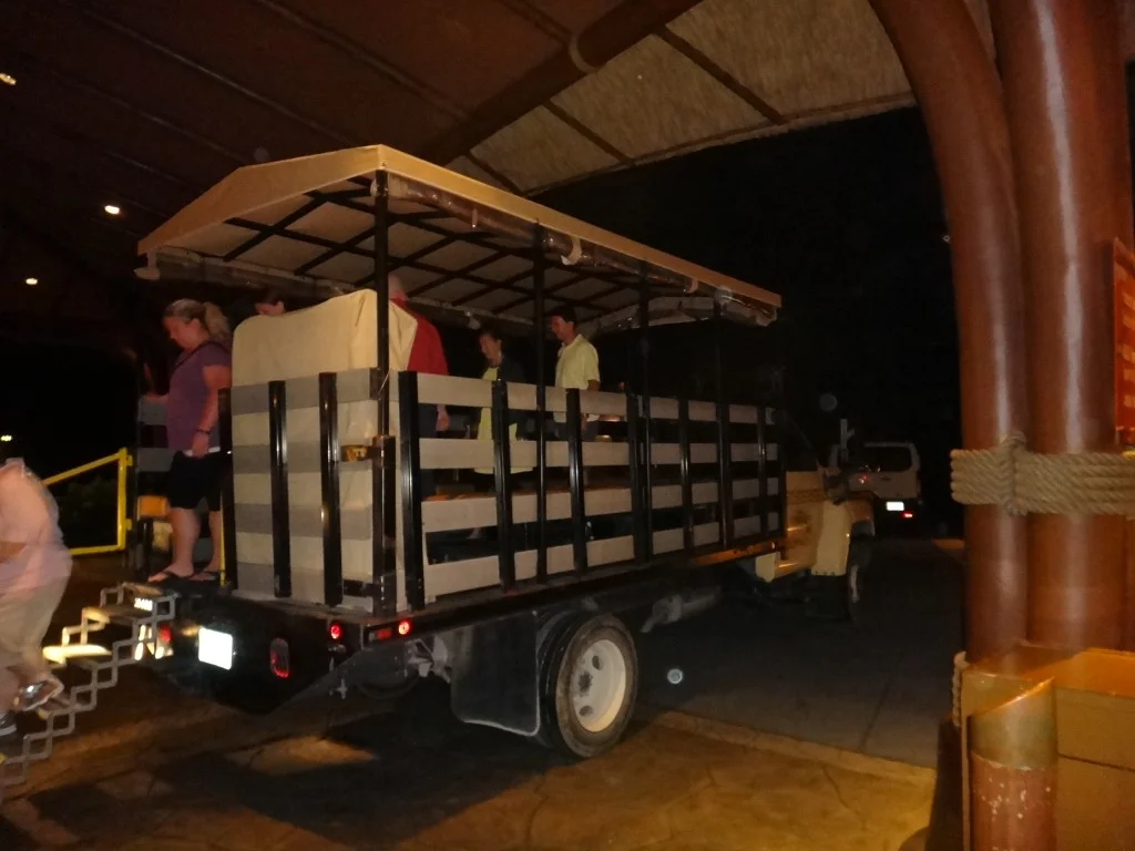 safari noturno