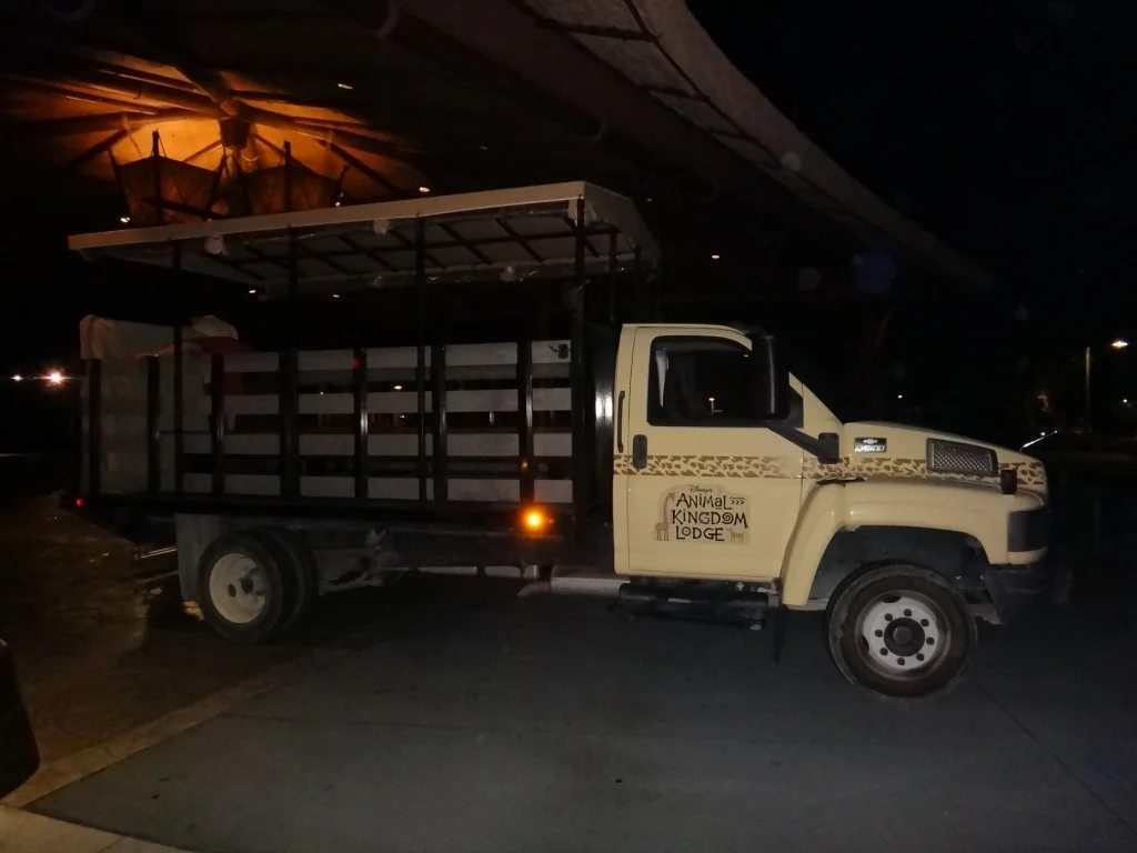 safari noturno