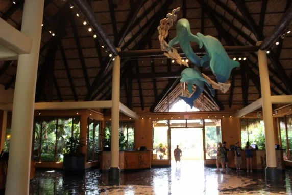 discovery cove