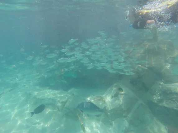 DCIM101GOPRO