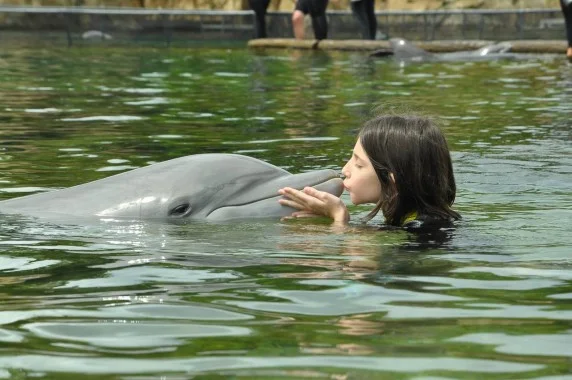 discovery cove