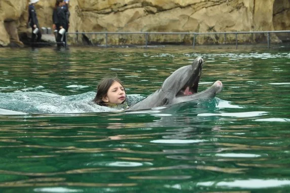 discovery cove