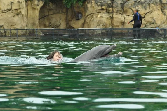 discovery cove