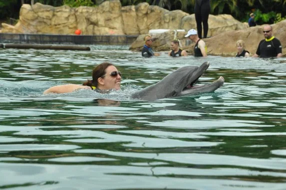 discovery cove