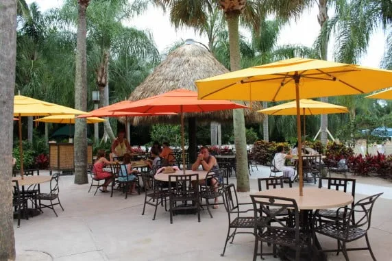 discovery cove