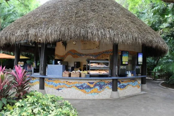 discovery cove