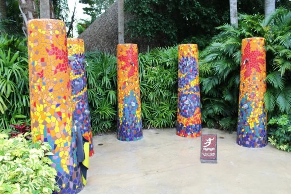 discovery cove