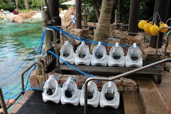 discovery cove - sea venture