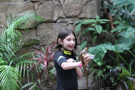 discovery cove