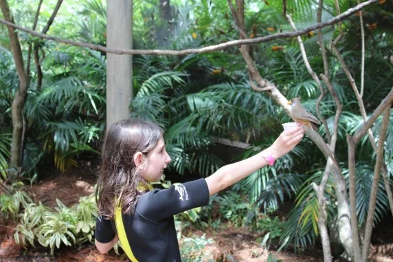 discovery cove