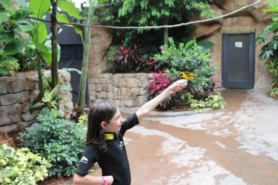 discovery cove