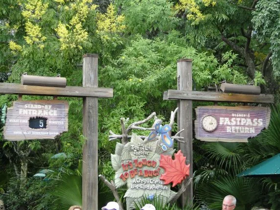 Fast pass fura fila da Disney