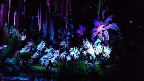 pandora avatar (131)
