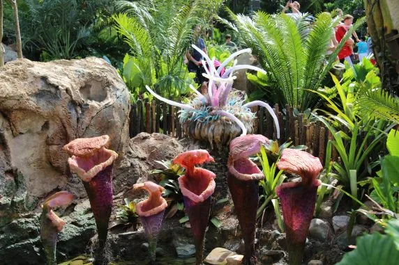 pandora avatar (196)