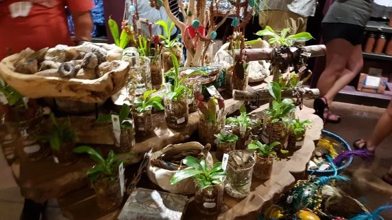 pandora avatar (53)