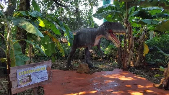 2017-05-15 09.56.16-2