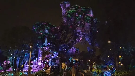2017-08-15 22.42.56