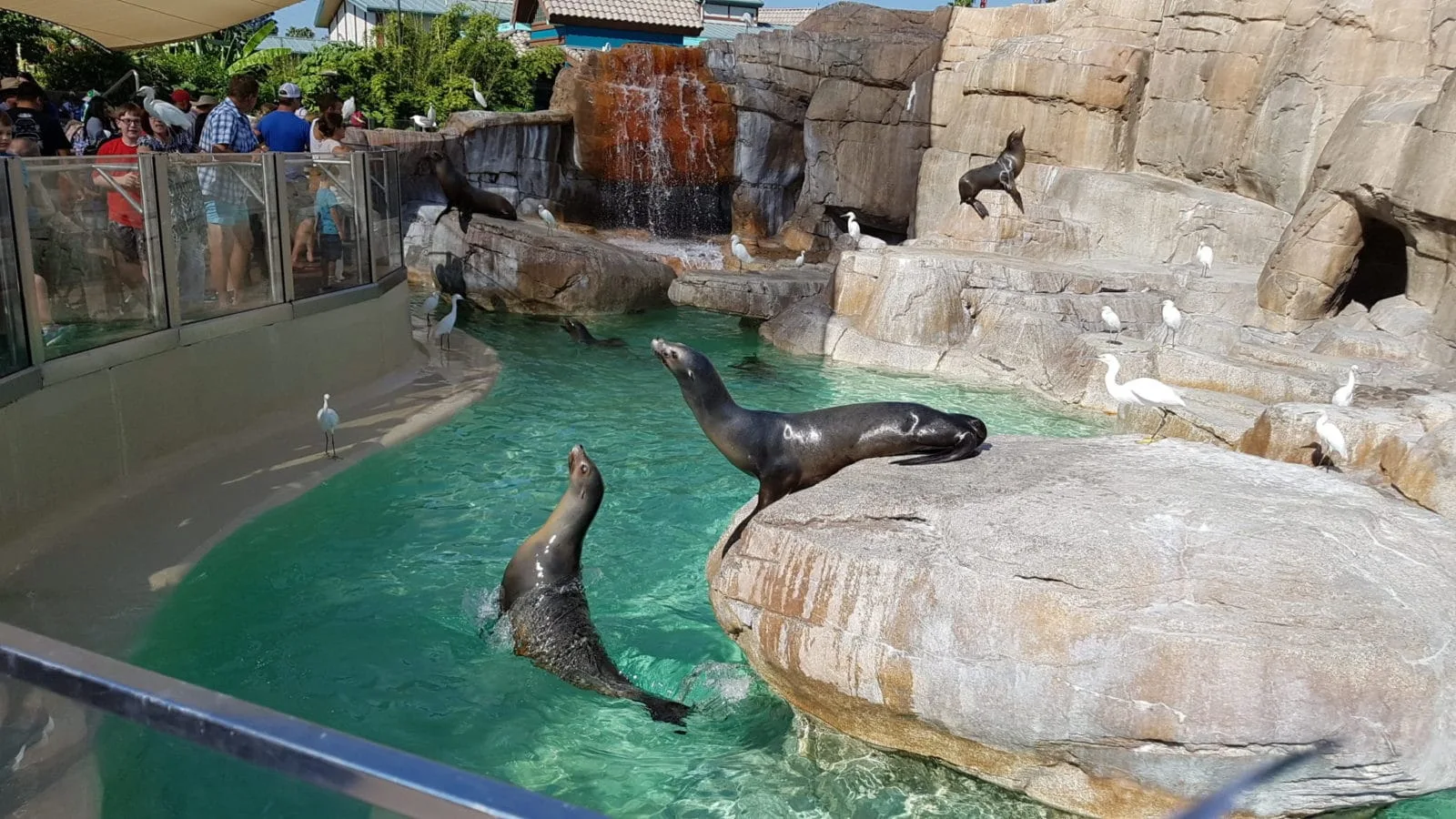seaworld san diego