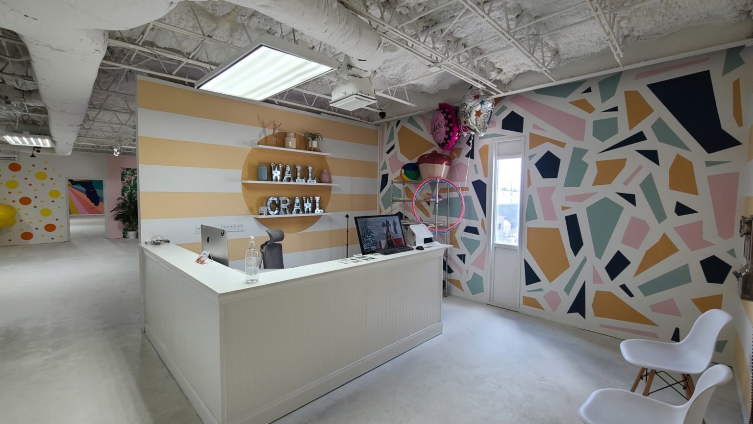 Wall Crawl Onde fazer fotos de estúdio em Orlando Andreza Dica e Indica